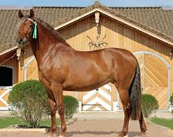 home britta bloggt rezept moderne bauernhaus kuchen wohnungsplanung esszimmerdekoration