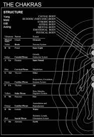Martin Brofman Chakra Reference Chart Showing The Body