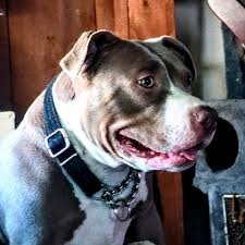 Ryan Hensel (@ryhenphotography) • Instagram photos and videos