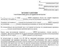 Kak Vstupit V Nasledstvo Posle Smerti Posle 6 Mesyacev Vidy Nasledstva 2019