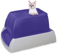 Litter boxes are a huge part of your cat's daily routine, so it's important to find the right one. 12 Dog Proof Litter Box Choices To Keep Your Dog From Eating S All Pet S Life