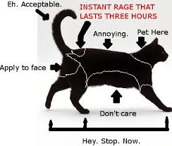 My Three Legged Cat Is Weird Petting Reaction Chart Imgur