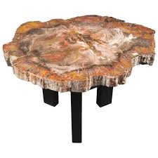 Petrified Wood Coffee Table From A Unique Collection Of Antique And Modern Coffee And Cocktail Tables At Htt Coffee Table Wood Coffee Table Wood Table Design