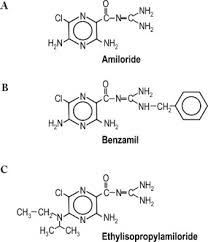 Image result for Amiloride