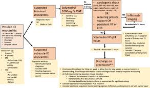 May present as fulminant, acute, or chronic myocarditis. Treatment Of Corticosteroid Refractory Immune Checkpoint Inhibitor Myocarditis With Infliximab A Case Series Cardio Oncology Full Text