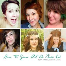 Pin By Bobbie Rodela On Home Remedy Grow Long Hair Grow Hair Grow Hair Faster