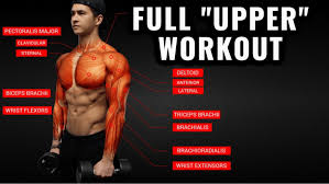 upper body workout routine and exercises