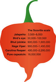 Mar 19, 2019 · a jalapeno pepper, one of the most recognizable hot peppers, falls within a range of 2500 to 8000 scovilles, since a fresh pepper's heat always varies. Some Like It Hot Nature Physics
