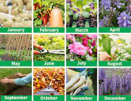 Check spelling or type a new query. Gardening For Beginners Thompson Morgan