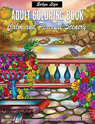 Rainbow coloring pages for kids jungle animal scene scenery winter. Adult Coloring Book Calm And Peaceful Scenery Relaxing Coloring Books For Adults Featuring Fun And Easy Coloring Pages With Beautiful Landscape Lovely House Beautiful Garden And Many More Buy Online In