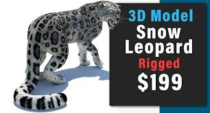 Snow Leopard Rigged 3d Model