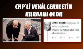 Çöplüğün fotoğrafını çeken akp denizli i̇l yönetim kurulu üyesi cemile taşdemir, ekonomik kriz olan bir. Cemile Tasdemir On Twitter Kim Trolluyor Bu Trolleri