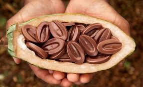 The History Of Chocolate Take The Cake Chocolate Festival French Chocolate Chocolate