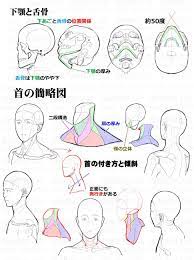 漫画素材工房 無料停止中 on twitter anatomie zeichnungen zeichnen