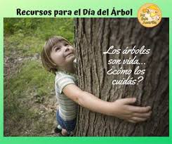 Información, fotos y videos en milenio. Mi Sala Amarilla Recursos Para El Dia Del Arbol