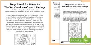 20 worksheets total.the five pages included for each suffix ending:1) read it, pencil write, marker write2) use the wo Ture Sure Sound Worksheet Ni Phase 4b Phonics