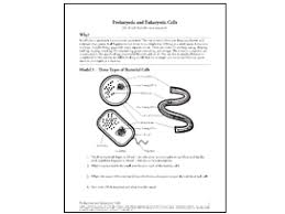 Sample Activity For Pogil Activities For High School Biology High School Biology High School Biology