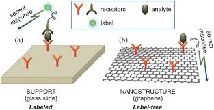 Primul dispozitiv pentru detectat metale a fost construit de alexander graham bell in anul 1881. 25th Anniversary Article Label Free Electrical Biodetection Using Carbon Nanostructures Balasubramanian 2014 Advanced Materials Wiley Online Library