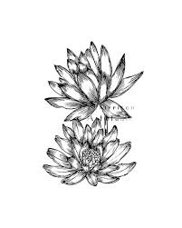 Black And White Water Lily Flower Tattoo Water Lily Art Print Minimalist Decorative Print By Eeartstudio 12 00 Tatuagem Desenhos De Flores Aquarela
