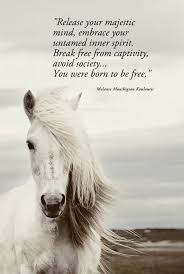 ∴ when we get so caught up in our lives that we forget to enjoy simply being, nature calls us to her. Wild Soul Quotes Quotesgram