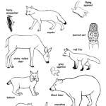 Then they'll love this animal habitats coloring worksheet! Habitats Biomes Coloring Nature