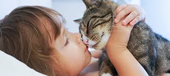 Will cats get along with puppies eventually? 5 Reasons Why Cats Are The Best Pets For Kids Litter Robot Blog