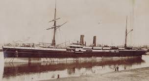 Des archéologues affirment avoir mis au jour la plus ancienne dépouille d'un individu tué par un requin. Voyager Au Japon Au 19e S Gallica