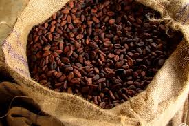 18,325 cocoa beans products are offered for sale by suppliers on alibaba.com, of which cocoa beans accounts there are 17,695 suppliers who sells cocoa beans on alibaba.com, mainly located in asia. Utz Jute Bag With Dried Cocoa Beans Cote D Ivoire Utz