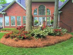 This approach has the gardener bury straw (do not know how much) down the center of the vegetable bed, about a foot down. Mid Atlantic Pine Straw Mulch