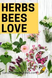 7 Flowering Herbs For Bees In 2020 Planting Herbs Bee Friendly Garden Backyard Herb Garden