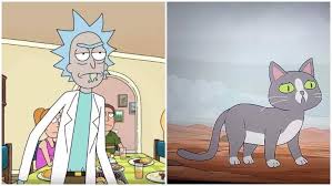 Rick Morty What Did Rick See In The Talking Cat S Mind Heavy Com