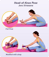 Sit on your yoga mat with your legs stretched straight out in front of you. How To Do Head Of Knee Pose In Yoga Yogaoutlet Com