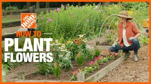 This is a great diy idea for filling up empty corners on your front yard and bring that. How To Plant Flowers The Home Depot