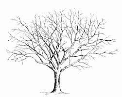Mit kostenlosen vorlagen in wenigen minuten einen maßgeschneiderten lebenslauf kreieren. 30 Baum Vorlage Zum Ausdrucken Besten Bilder Von Ausmalbilder
