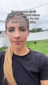 It's more like chase than fetch #fetch #dogtoy #blackgermanshepherd #g...