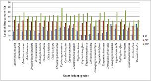 Image result for Enteropogon monostachyos