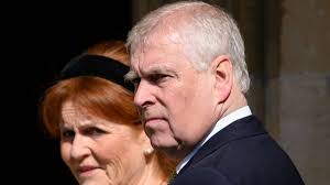 Prince Andrew's blunt assessment