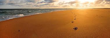 Mary (Mimi) Margaret Hawkins