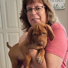 appliance repair in waverly iowa?