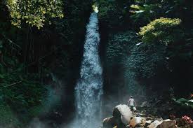 Kawasan hutan desa setianegara memiliki hawa yang sejuk serta beragam flora dan fauna yang bisa kamu nikmati. 10 Tempat Wisata Di Kuningan Terbaru Yang Lagi Hits