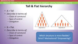 Igcse Business Chp 15 16 Keywords Hierarchy Span Of