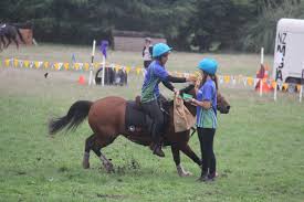 Hometown rider Rebecca Benge to continue mounted games winning form over  Easter