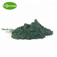 Chlorella is the best source of chlorophyll on the planet. Gmp Bulk Spirulina Chlorella Spirulina Algae Powder Algaes Spirulina Extract Buy Spirulina Powder Spirulina Extract Organic Spirulina Powder Product On Alibaba Com