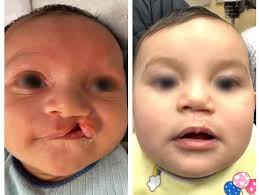 Dr Nicholas Bastidas