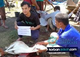 Saya Nak Buat Akikah Kambing Ke Lembu Korban Akikah