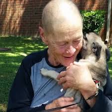 Fundraiser for Judy West by Bryan West : Elderly widow/cancer being evicted