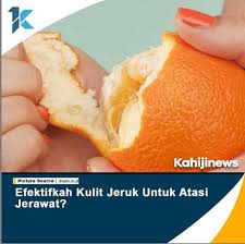 Dalam satu buah jeruk manis ukuran sedang terdapat 16 gram karbohidrat yang mengandung. Buah Jeruk Memiliki Kandungan Vitamin C Hoki Shop Taiwan Facebook