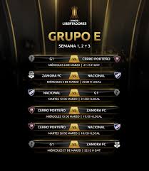 Copa sudamericana 2020 scores, live results, standings. El Analisis Del Grupo E De La Conmebol Libertadores 2019 Que Integran Nacional Cerro Porteno Y Zamora Copa Libertadores