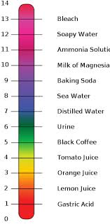 Kids Science Acids And Bases