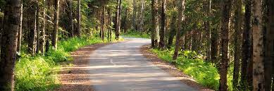 You can start from either end, or from any of the smaller parks in between. Tony Knowles Coastal Trail Alaska Trails Traillink